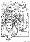 raion-nurie-069
