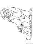 raion-nurie-079