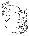 hitokoburakuda-nurie-02