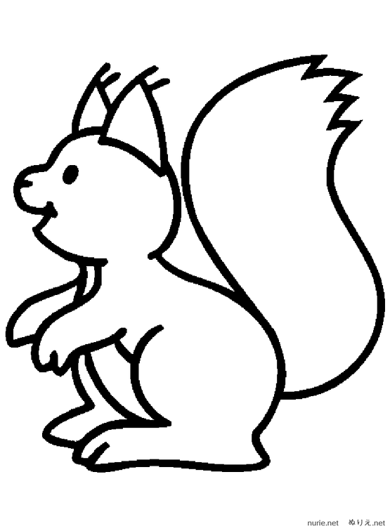 risu-nurie-01.png