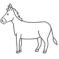roba-nurie-01
