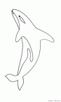 shachi-nurie