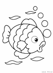 sakana-nurie-006