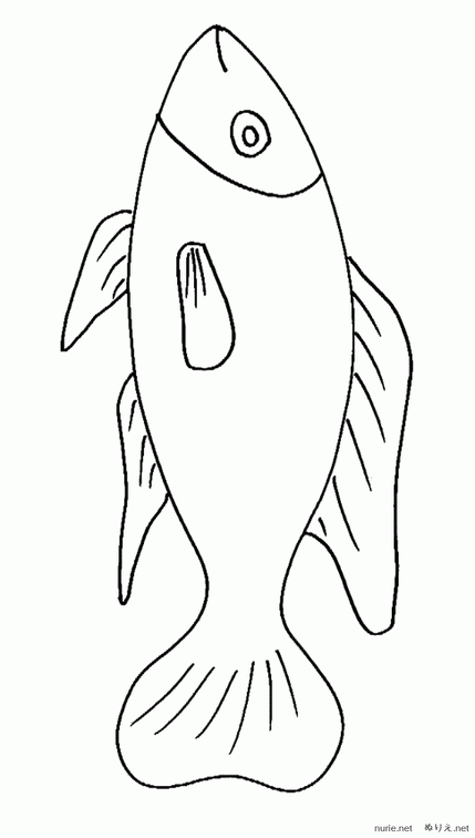 sakana-nurie-007.png