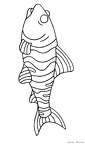sakana-nurie-008