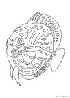 sakana-nurie-012