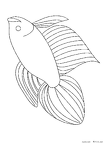 sakana-nurie-015