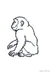 saru-nurie-010