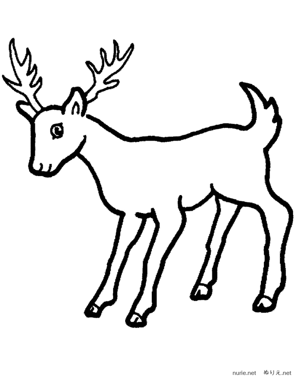 shika-nurie-07.png