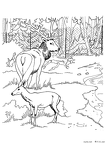shika-nurie-11