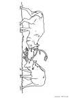 shika-nurie-12