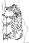 shimauma-nurie-10