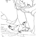 shiru-nurie-004