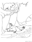 shiru-nurie-005