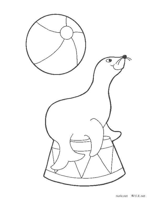 shiru-nurie-007.png