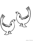 shiru-nurie-008