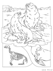 shiru-nurie-010