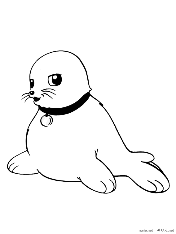 shiru-nurie-011.png