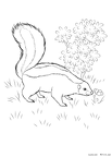 sukanku-nurie-002