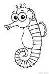 タツノオトシゴ