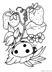 tentoumushi-nurie-008