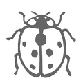 tentoumushi-nurie-014