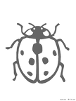 テントウムシ