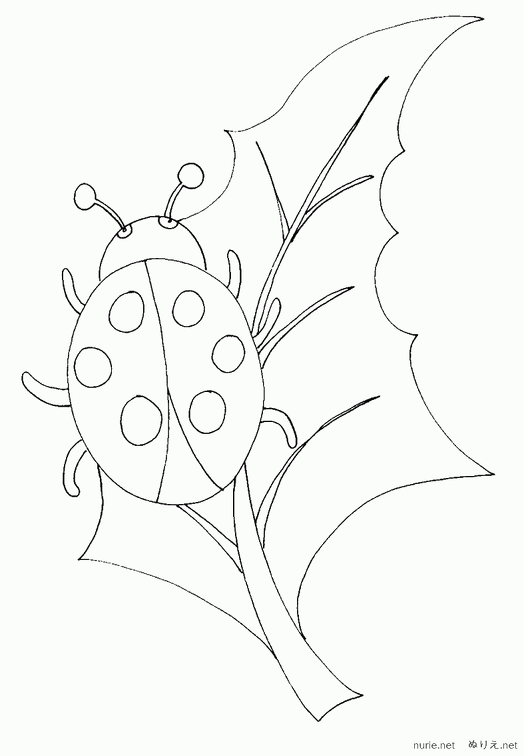 tentoumushi-nurie-015.png