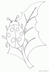 tentoumushi-nurie-015