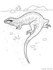 tokage-nurie-002