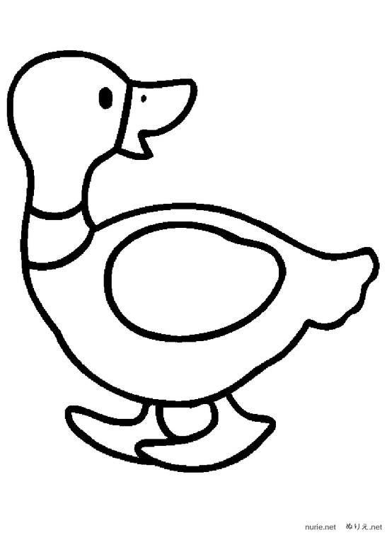 ahiru-nurie-003.png