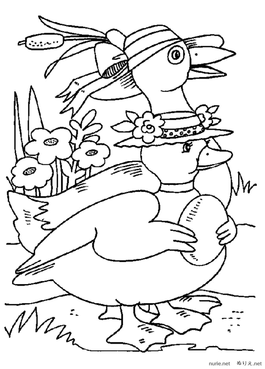 ahiru-nurie-023.png
