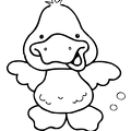 ahiru-nurie-039