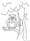 fukurou-nurie-004