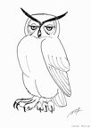 fukurou-nurie-006