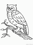 fukurou-nurie-008