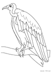 hagetaka-nurie-004