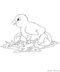 niwatori-nurie-022