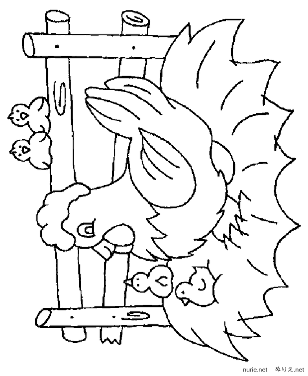 niwatori-nurie-024.png