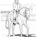 uma-nurie-102
