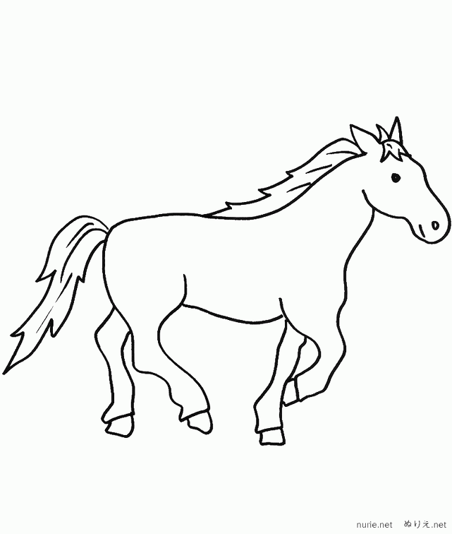 uma-nurie-103.png