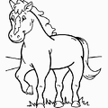 uma-nurie-104