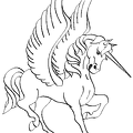 pegasasu-nurie-002