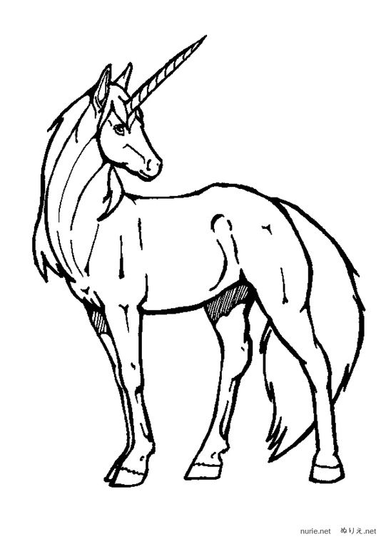 yunikoun-nurie-014.png