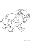 zou-nurie-011