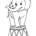 zou-nurie-066