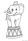 zou-nurie-066