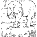 zou-nurie-071