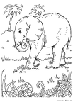 zou-nurie-071