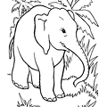 zou-nurie-075